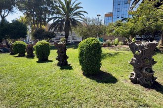 WhatsApp Image 2026-04-01 at 16.03.42 (2).jpeg